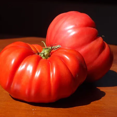 Casa Del Pescador Ambasmestas