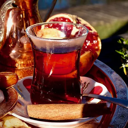 Casa Del Pescador Auberge de jeunesse