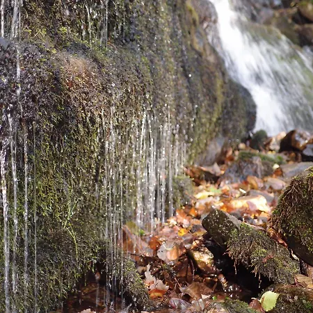 Auberge de jeunesse Casa Del Pescador *