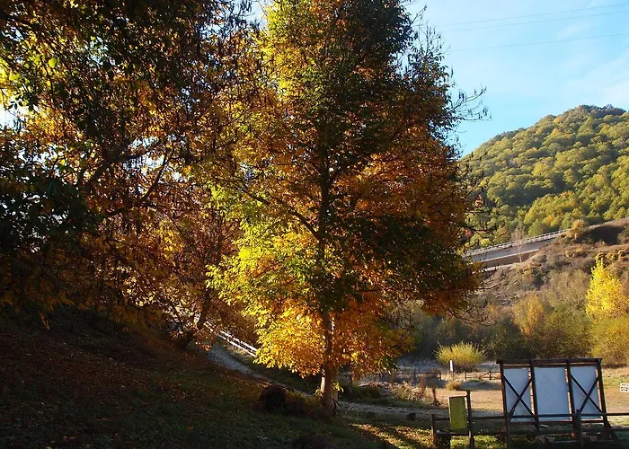 Casa Del Pescador Vandrarhem Ambasmestas