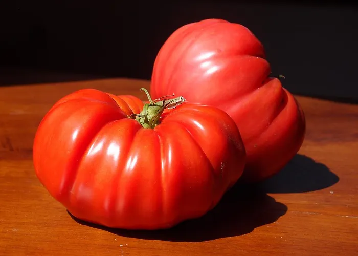 Casa Del Pescador Ambasmestas