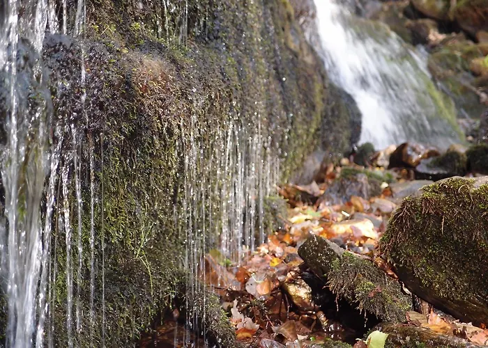 Vandrarhem Casa Del Pescador *